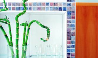 A beautiful bamboo in a glass vase stands in front of a colored tile wall. In the background, two clear glasses are visible.