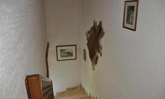 A staircase with a wooden railing leading to a lower area. Pictures and a fur hang on the walls.