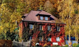 A charming house surrounded by colorful autumn leaves. The facade is covered with ivy, giving the building a warm atmosphere.