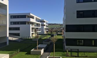 Modern living area with several bright buildings and well-maintained green spaces. The blue sky complements the inviting atmosphere.