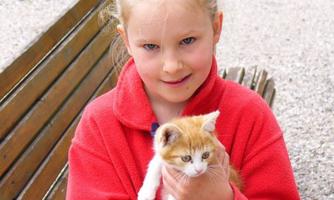 A girl is holding an orange and white cat in her hands. She is wearing a red sweater and smiling warmly at the camera.