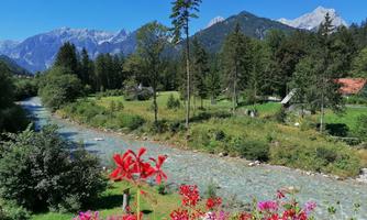A picturesque landscape with a river, surrounded by trees and mountains. In the foreground, red flowers are blooming.