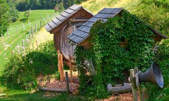 A rustic wooden house, surrounded by green nature and ivy. Gentle hills and a fence are visible in the background.