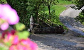 A calm landscape with a beautiful fountain area and green trees. The path gently bends to the right.