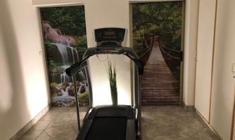 A room with a treadmill and decorative wallpaper featuring nature motifs. One door shows a waterfall, while the other depicts a wooden bridge.