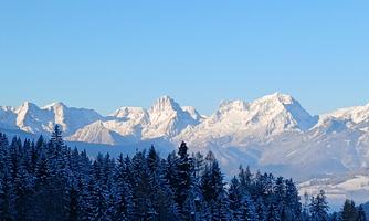 A snow-covered mountain range with majestic peaks and a clear blue sky. In the foreground, green coniferous trees can be seen.