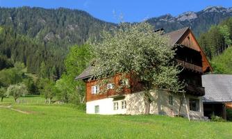 A picturesque house in a green meadow, surrounded by trees and mountains. The blue sky completes the idyllic landscape.