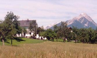 A vast meadow with tall grasses and some trees. In the background, impressive mountains can be seen.