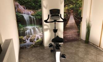 A fitness room with a stationary bike and nature motifs on the walls. The walls depict waterfalls and a wooden walkway.