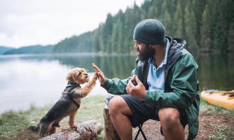 A man is sitting at the edge of a lake and interacting with a small dog. In the background, there are trees and a calm water surface.