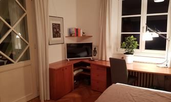 A cozy room with a desk and a television. A large window with a plant creates a bright atmosphere.