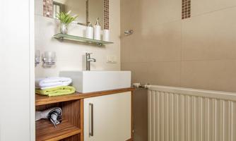 A modern bathroom with an elegant sink and wooden shelves. The floor is covered with a green carpet, and there is a large mirror wall.