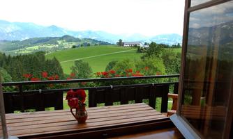 A beautiful view from a balcony overlooking green hills and mountains. On the table is a vase with red flowers.
