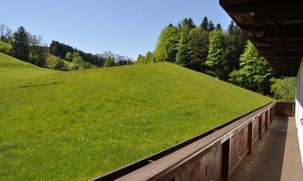 A green meadow with gentle hills and wooded areas in the background. The sky is clear and blue, ideal for a relaxing break in nature.