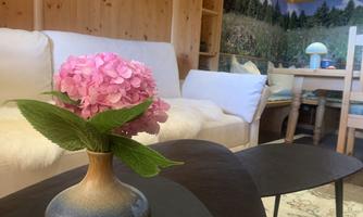 A cozy living room with a white couch and a table. In the center is a vase with a pink hydrangea.