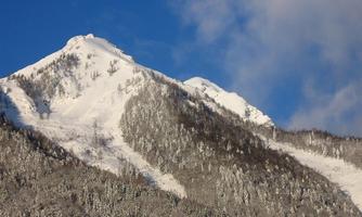 A snow-covered mountain landscape under a clear blue sky. The trees in the foreground are also covered with snow.