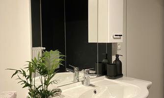 A modern bathroom with an elegant sink and a large mirror. A small plant in a white pot adds a fresh touch to the space.
