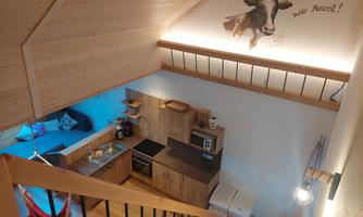 A cozy living kitchen with wooden shelves and modern appliances. In the background, there is a relaxing hammock and a nice wall decoration.