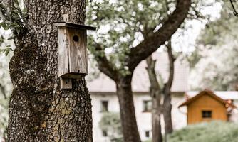 A birdhouse hangs on a tree, surrounded by green leaves. In the background, a few buildings are seen out of focus.