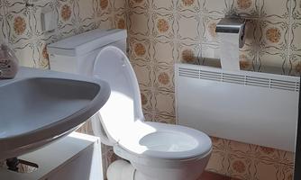 A bright bathroom with a toilet and a sink. The walls are decorated with vintage tiles and a skylight provides daylight.