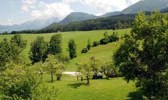A green meadow surrounded by trees and mountains. The sky is blue with some clouds.