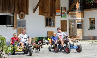 Two children and an adult are riding on go-karts in front of a farm. A dog is running next to them in the yard.