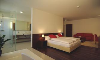 A modern room with a double bed and red pillows. There is a seating area and a separate bathroom with a glass wall.