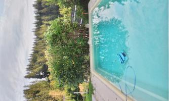 A beautiful pool surrounded by green trees and a peaceful garden. The sky is lightly clouded.