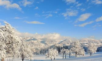 A winter landscape with snow-covered trees and mountains in the background. The sky is clear and blue with some clouds.