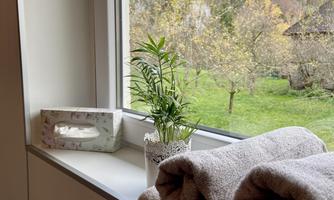 A bright room with a window that looks out onto a green landscape. On the windowsill are folded towels and a small plant.
