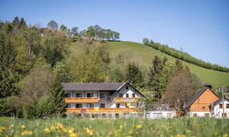 A charming house in a rural setting, surrounded by green hills and trees. The meadow in the foreground is adorned with yellow flowers.