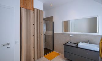 A modern bathroom with a shower, a hand wash basin, and a large mirror. The walls are partially clad in wooden panels, and a colorful rug complements the decor.