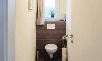 A small bathroom with a toilet and a window. On the windowsill is a plant and next to it are toilet rolls and a flower.