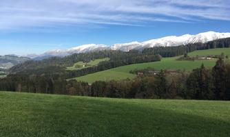 A beautiful landscape with green meadows and snow-capped mountains in the background. The sky is clear and blue.
