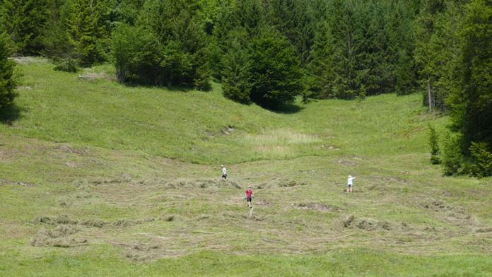 Naturschutzgebiet Jaidhaus