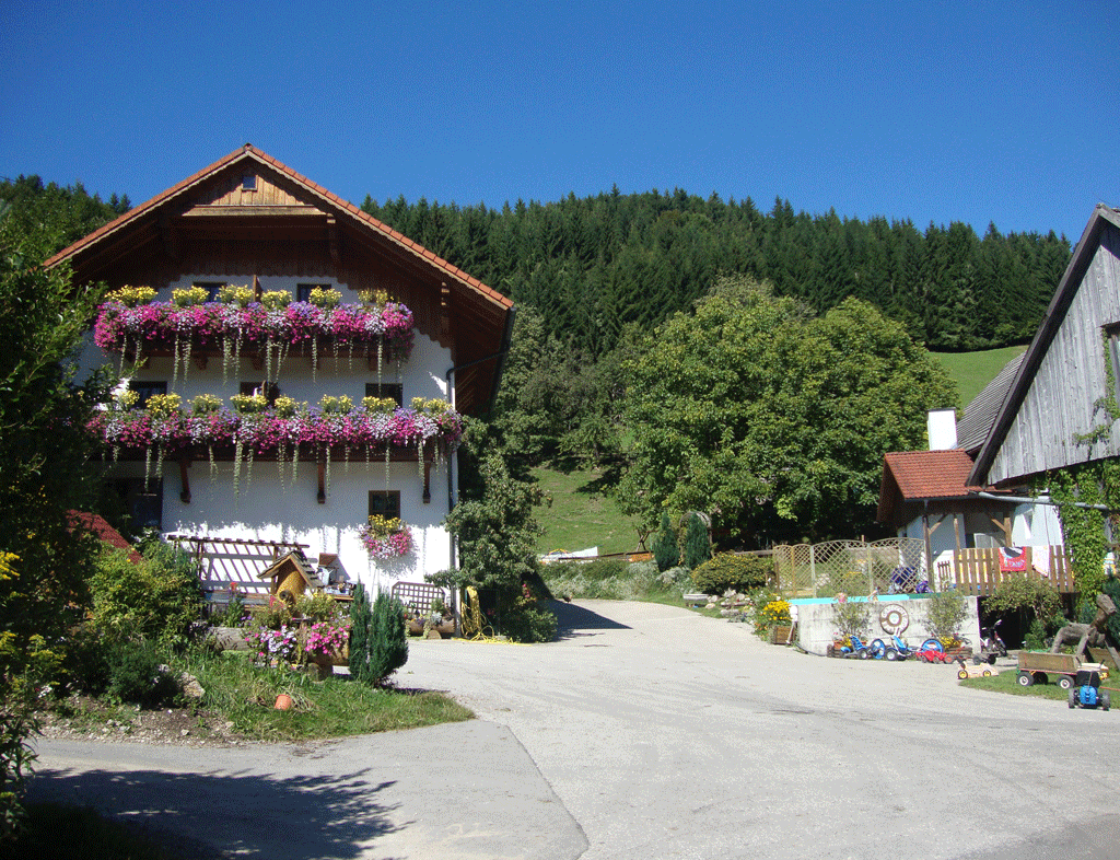Pferde- und Schafhof Klinser