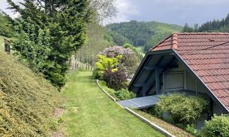 A quiet path with green grass and trees leads to a house with a red roof. The surroundings are filled with gentle hills and colorful plants.