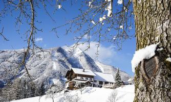 A snowy landscape with a beautiful house and mountains in the background. The trees are covered in snow and the sky is clear and blue.