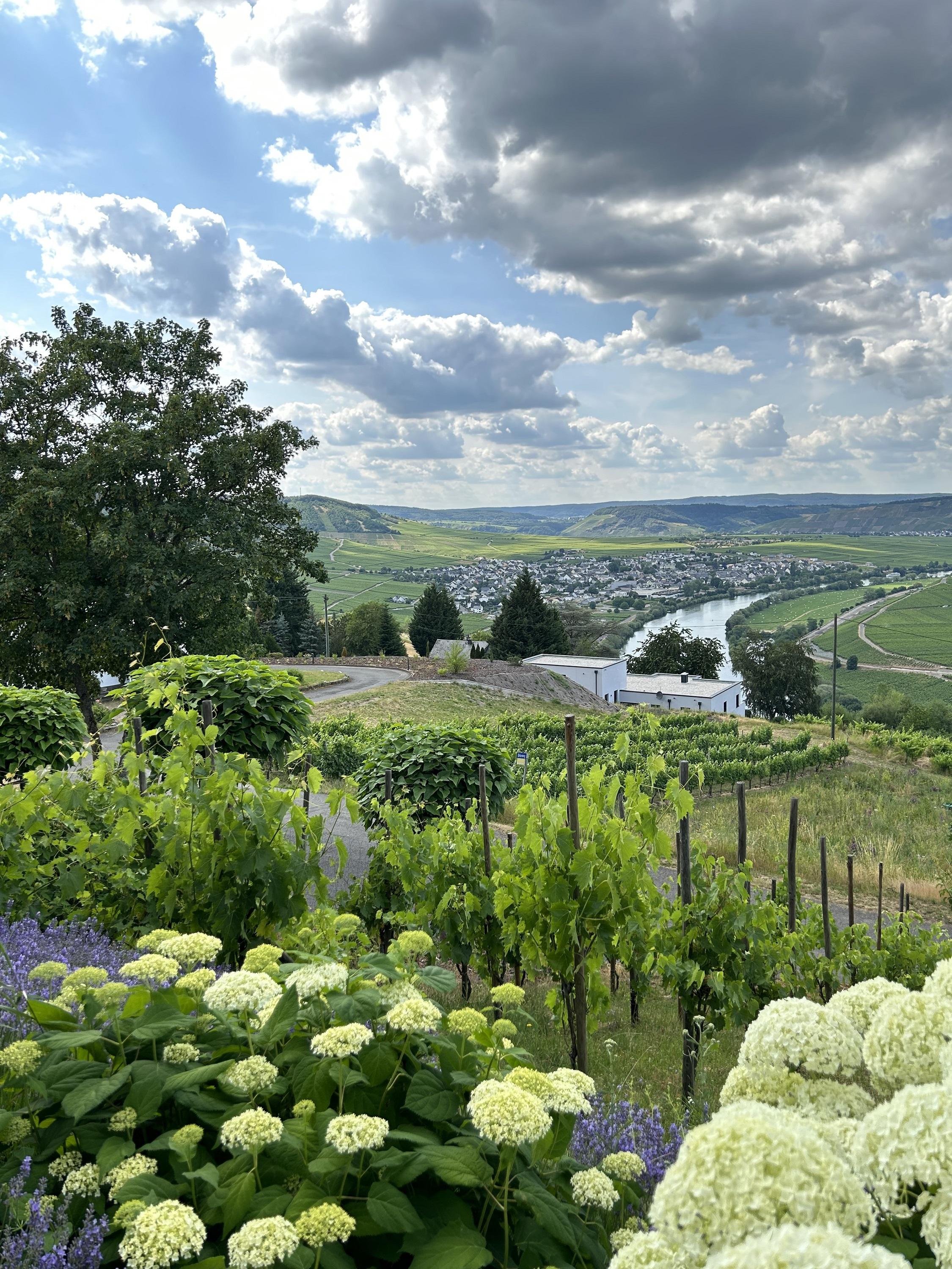Landschaft