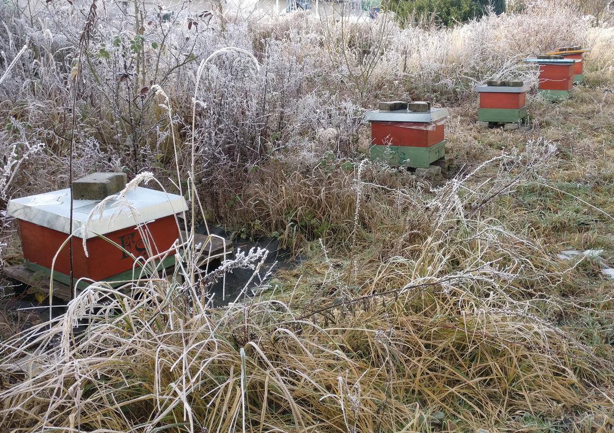 Bienenstöcke im Winter