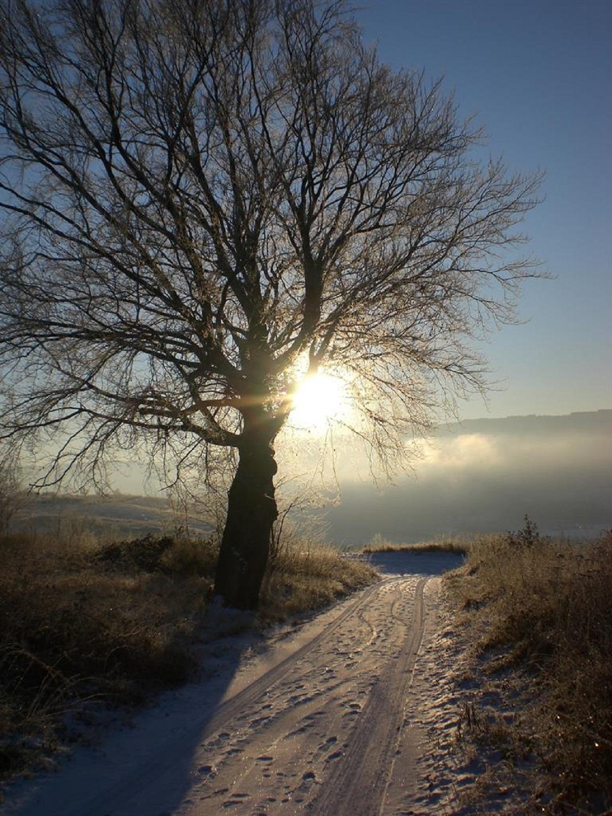 Winterlicht beim Wandern