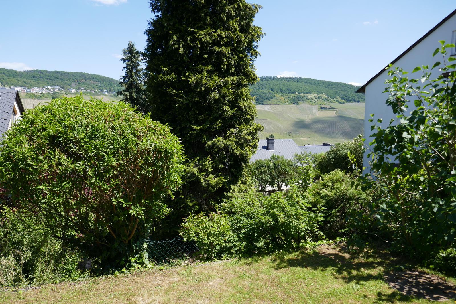 2_Terrasse7
