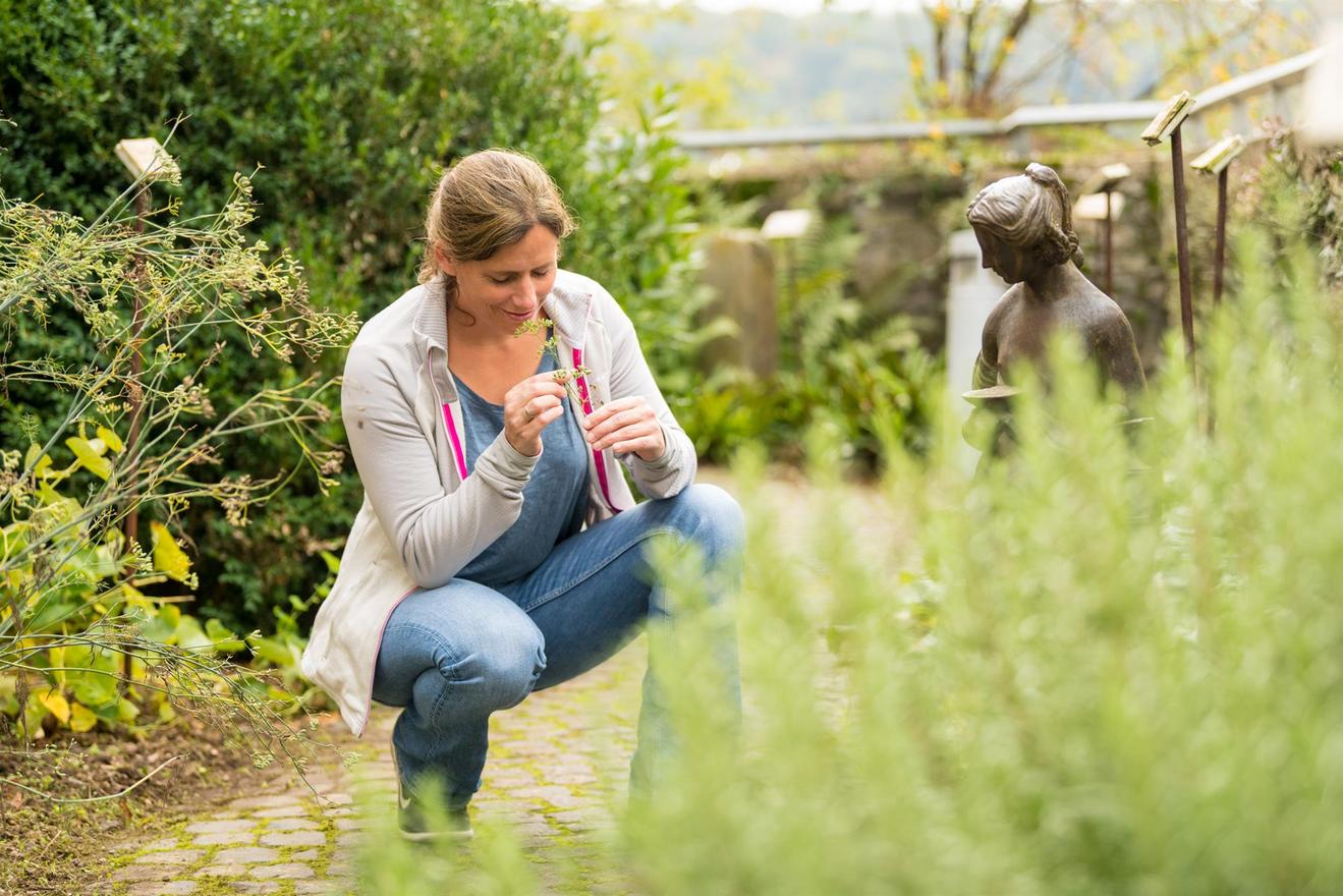 Duftende Kräuter im Arzneipflanzengarten am Grafen