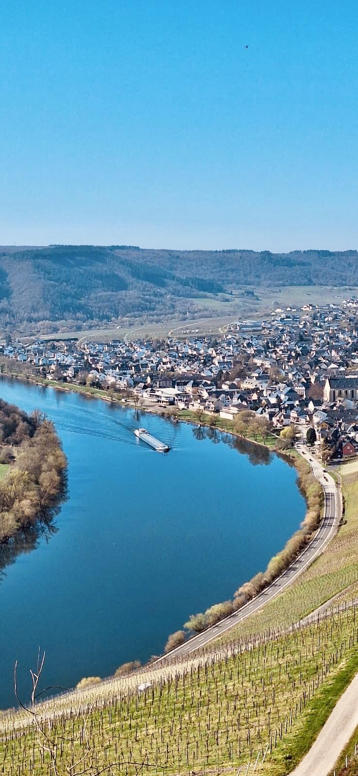 Blick auf Kröv