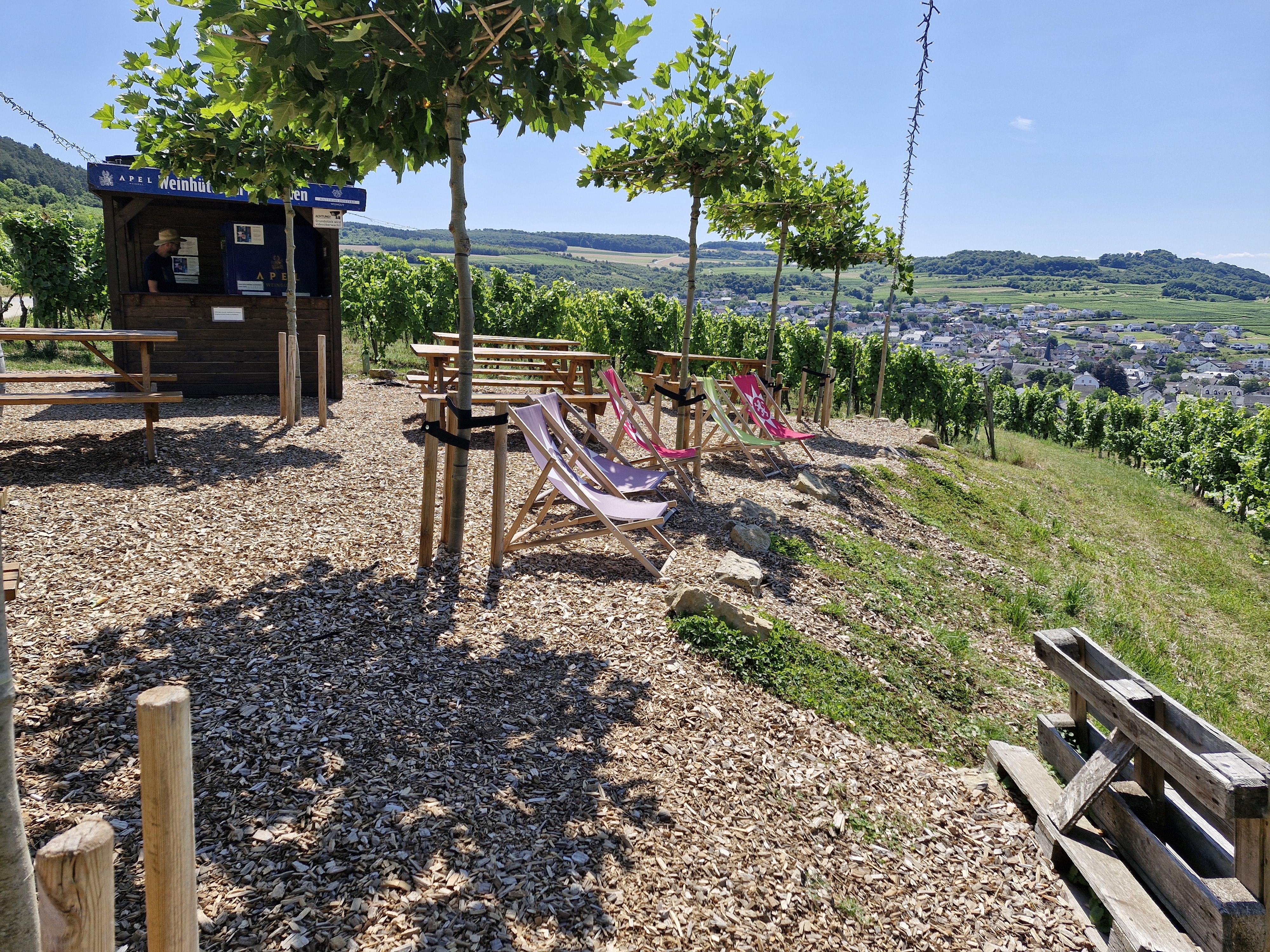 Weinhütte im Leiterchen Nittel (03)