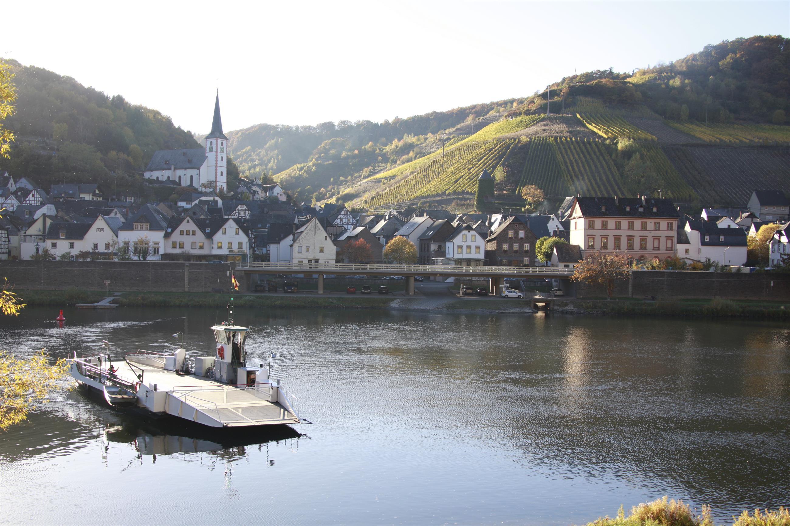 Briedel Mosel