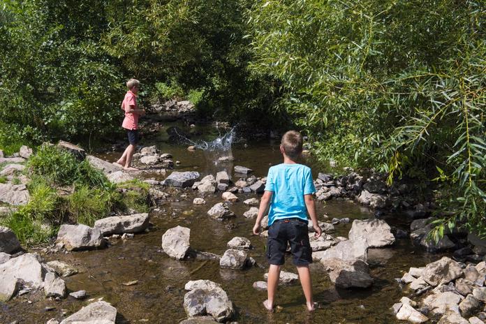 Das Leben im Bach, @ Eifelgemeinde Nettersheim