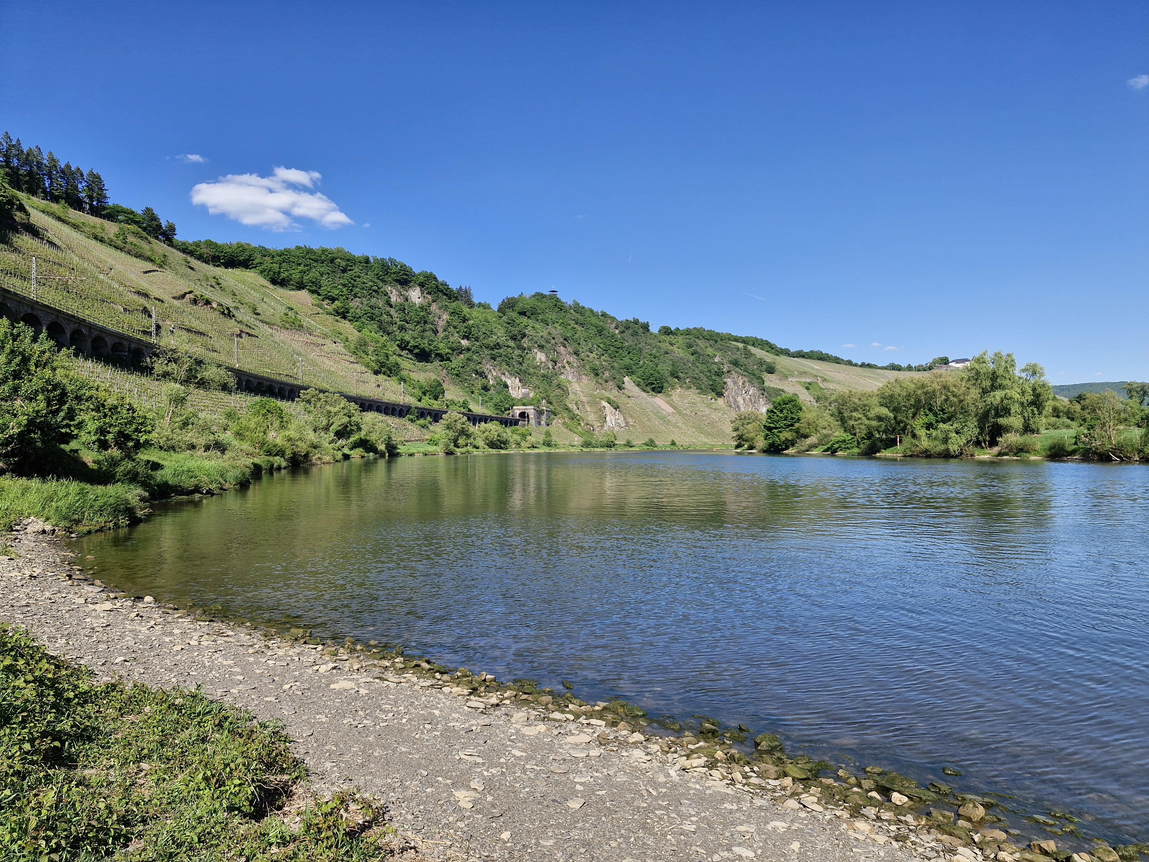 Moselufer nähe Reil