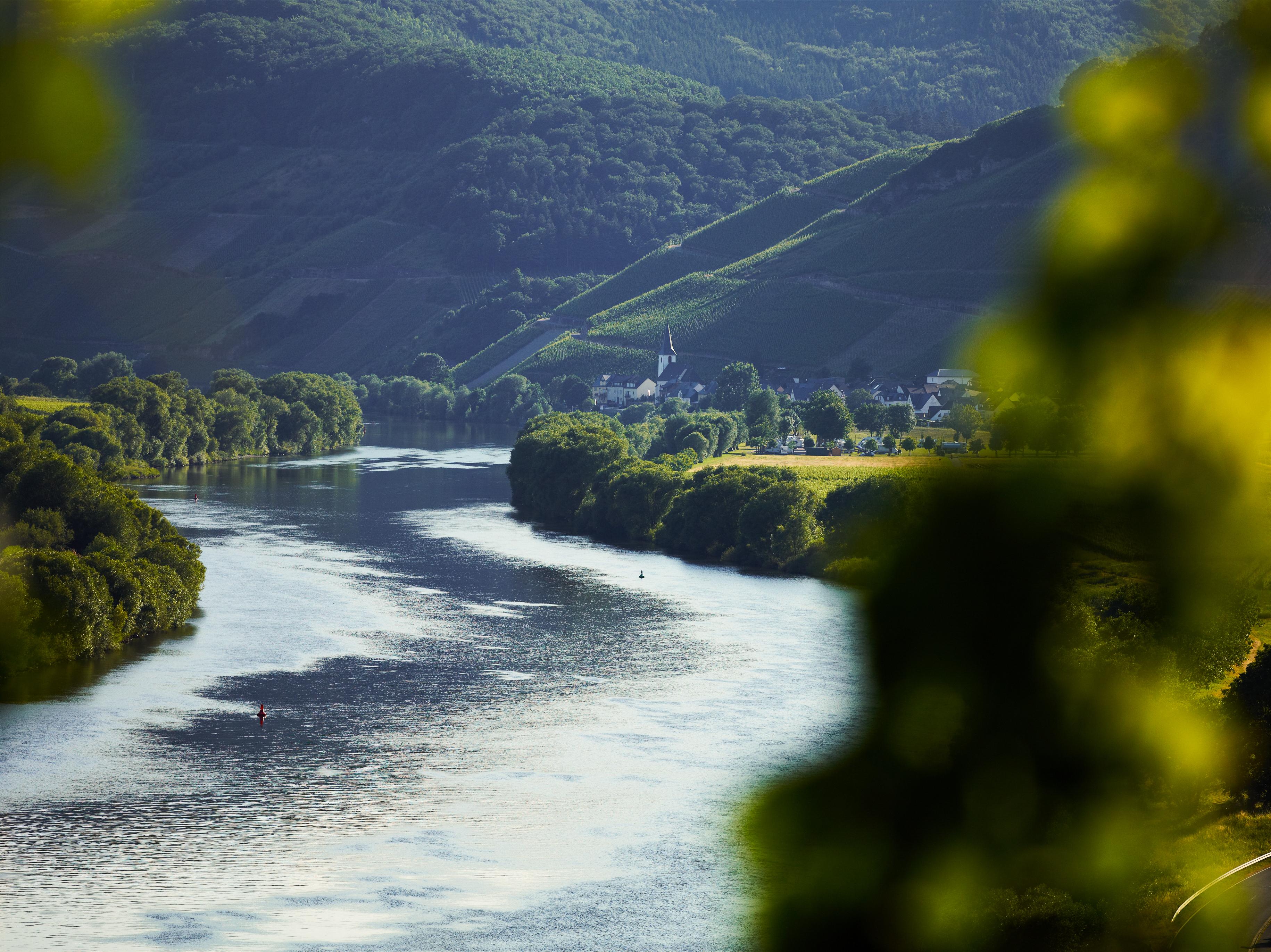 Brauneberg an der Mosel