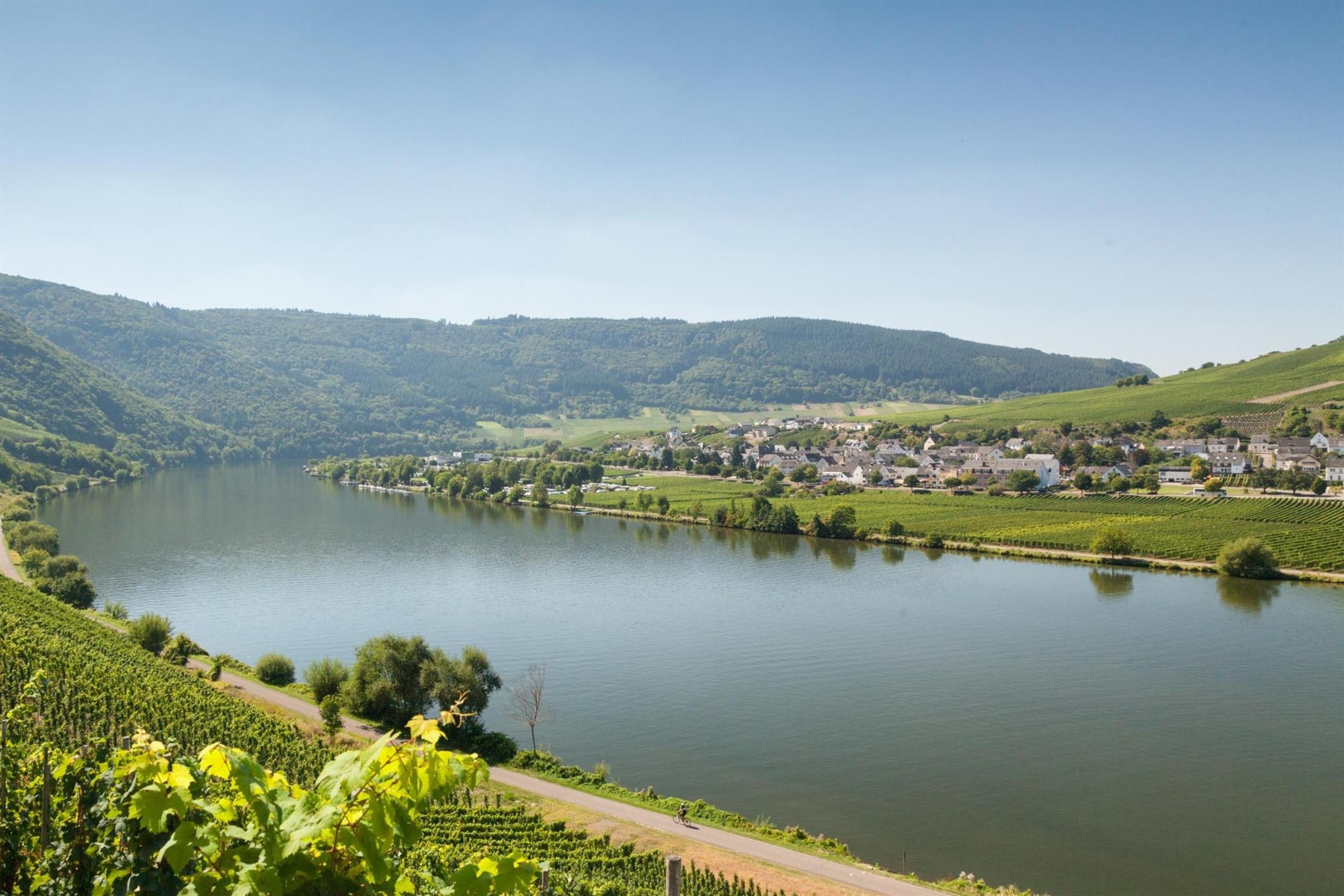 Ortsgemeinde Pölich